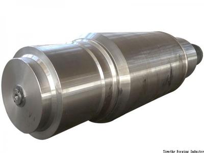 Forged Plate Bending Machine Roll