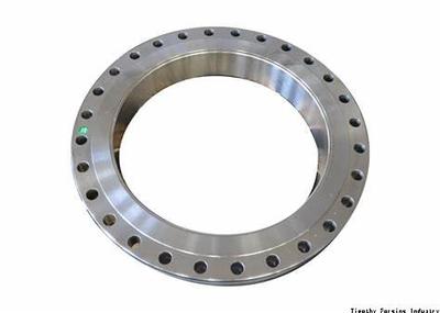 Stainless Steel Forged Flange
