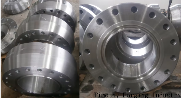 Forging Adaptor Flanges.png