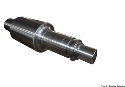 back shaft