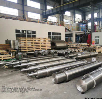 Forged Shafts and Roller Forgings