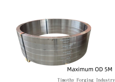 Alloy Steel Ring
